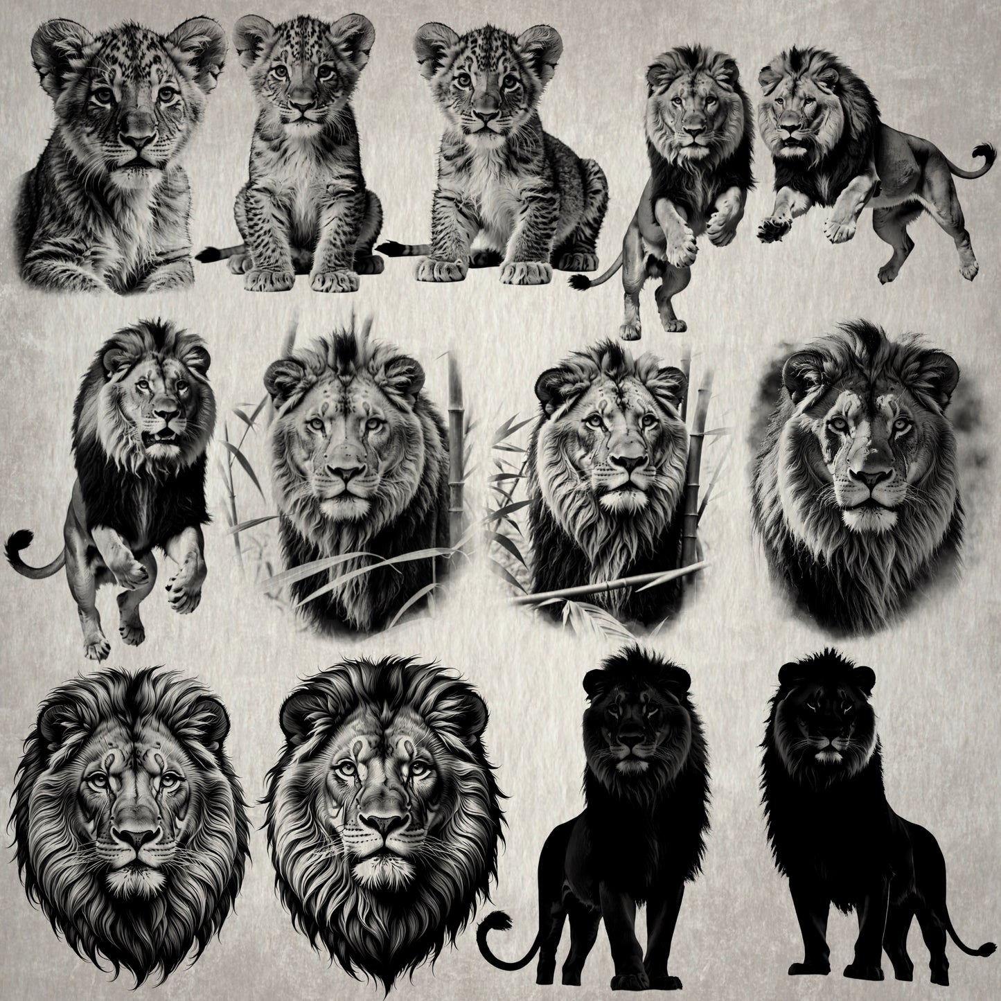 40 Lion Stamp Brushes for Procreate – Set 2