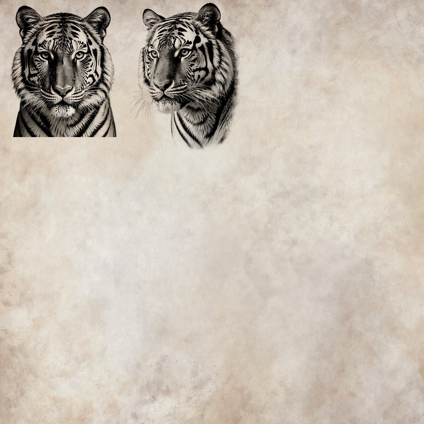 50 realistic tiger stamp brushes for detailed animal artwork in Procreate