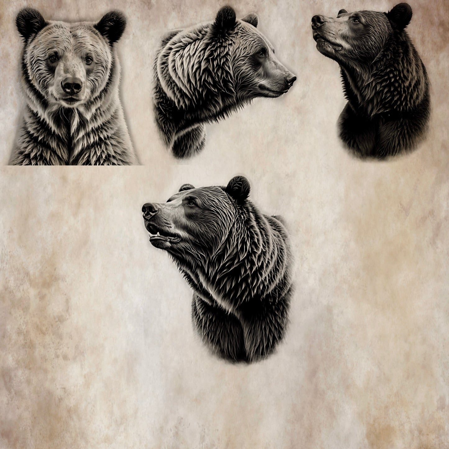 Procreate brush set of realistic bear stamp designs—snarling, posed, and portrait views