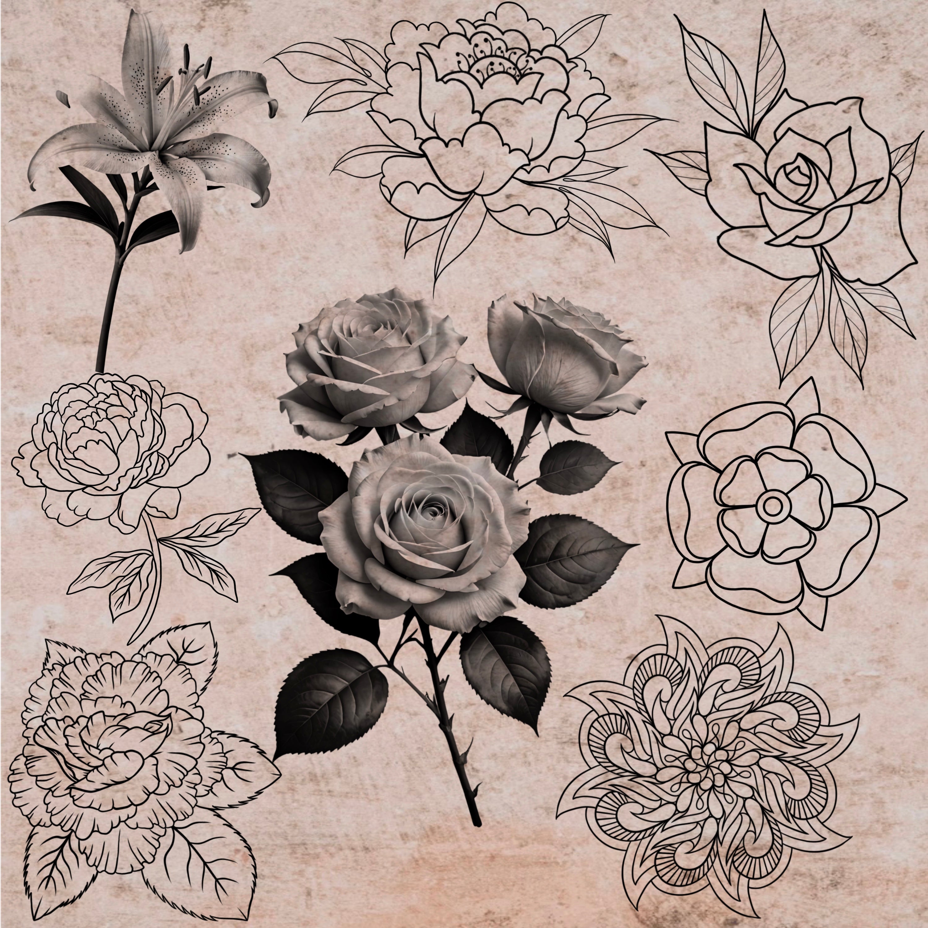 Complete Floral Collection – Realistic & Illustrative Procreate Brush ...