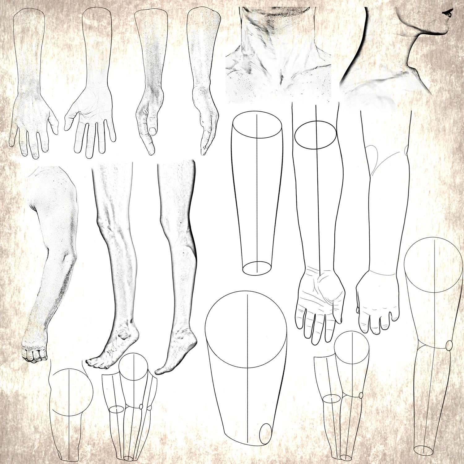 Body Pattern Template 62 Procreate Tattoo Body Templates – – Inked Matrix