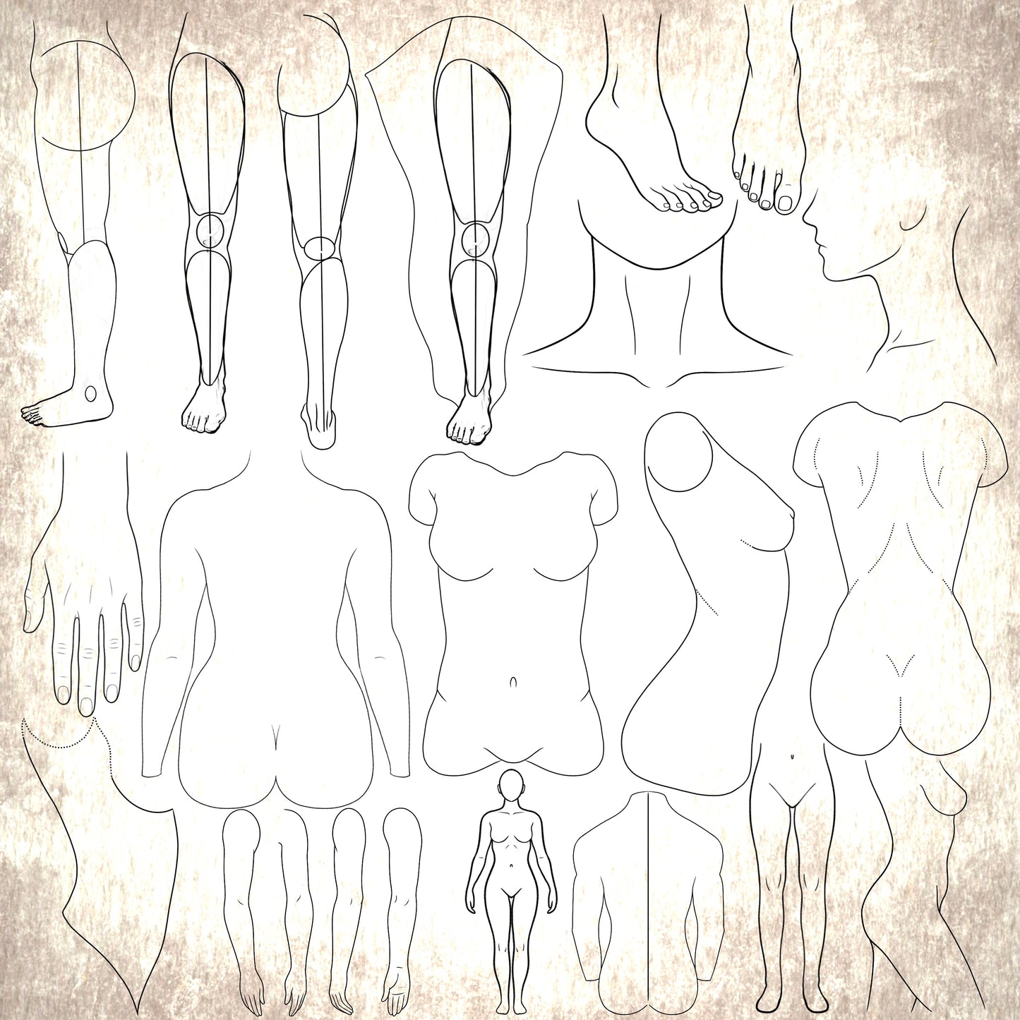 62 Procreate Tattoo Body Templates –
