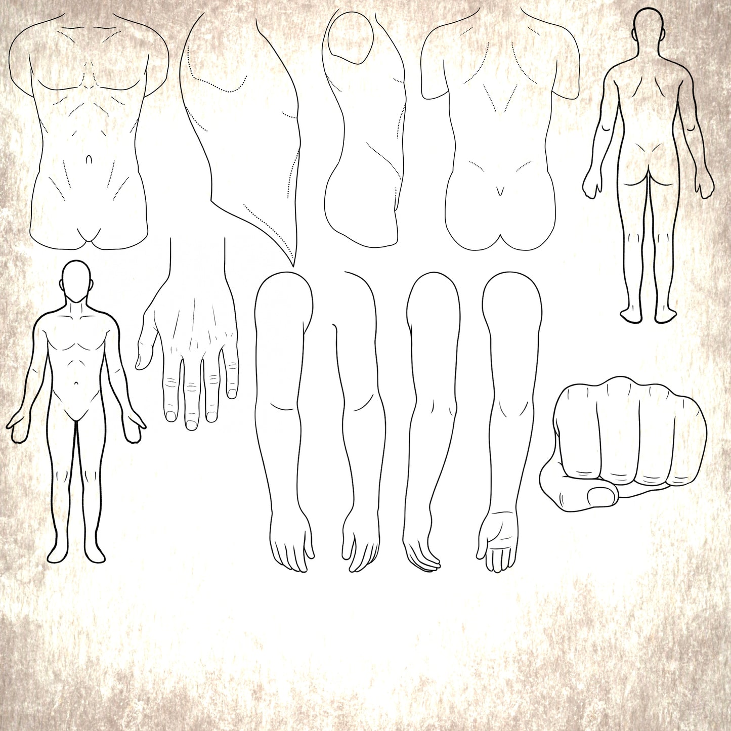 62 Procreate Tattoo Body Templates –